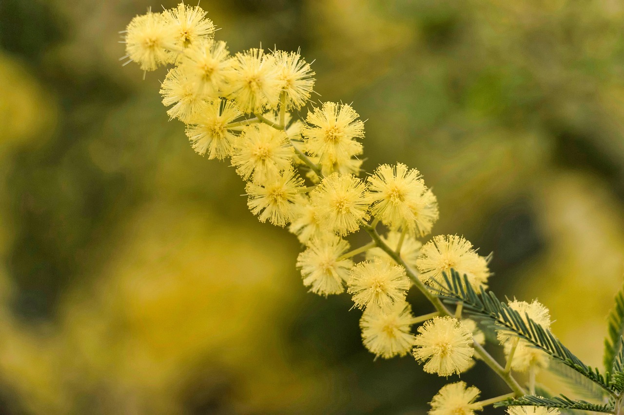 璀璨花藝盛宴，別開(kāi)生面的插花比賽