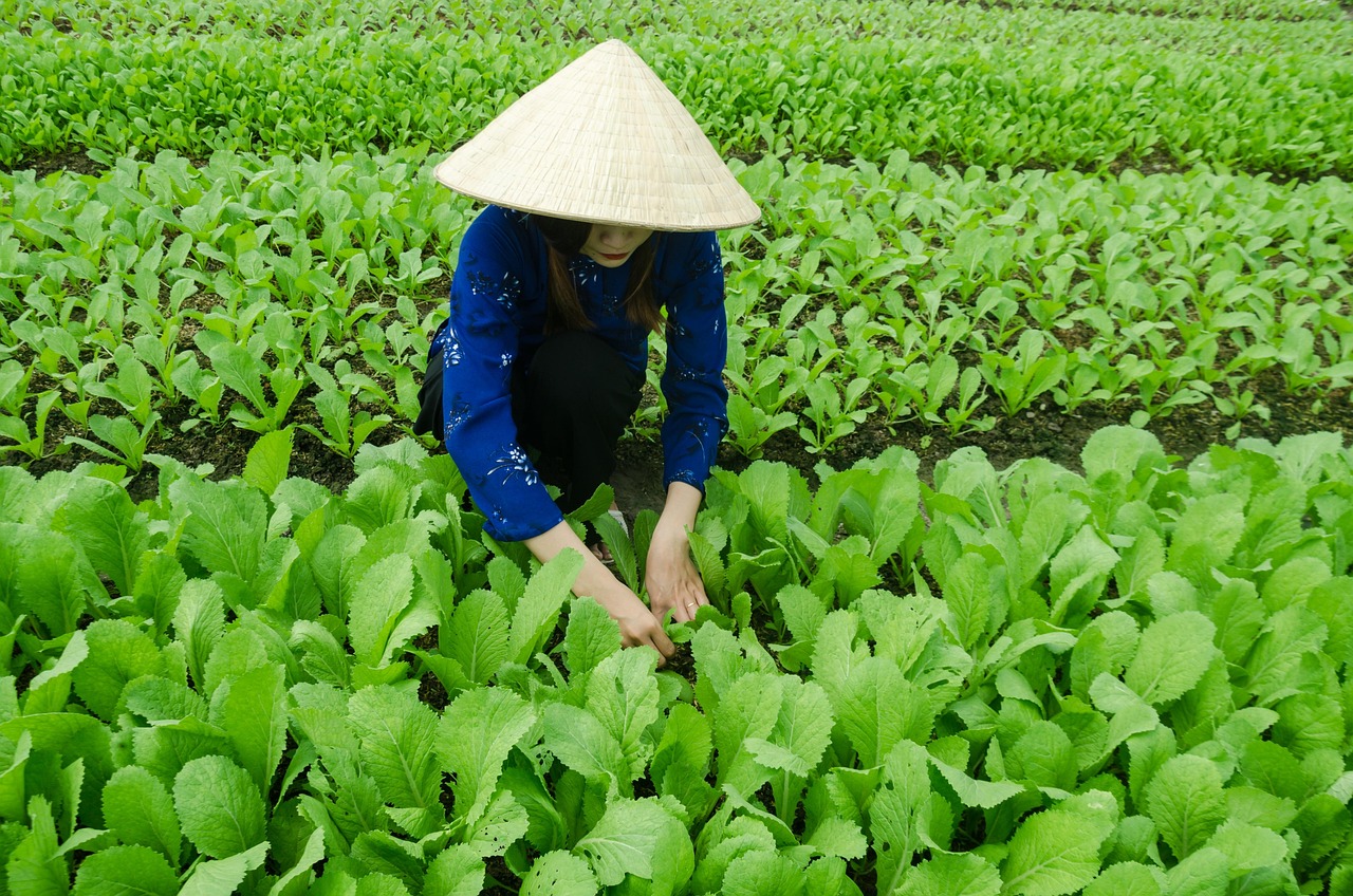 貴州六盤水最新發(fā)展動態(tài)及未來展望