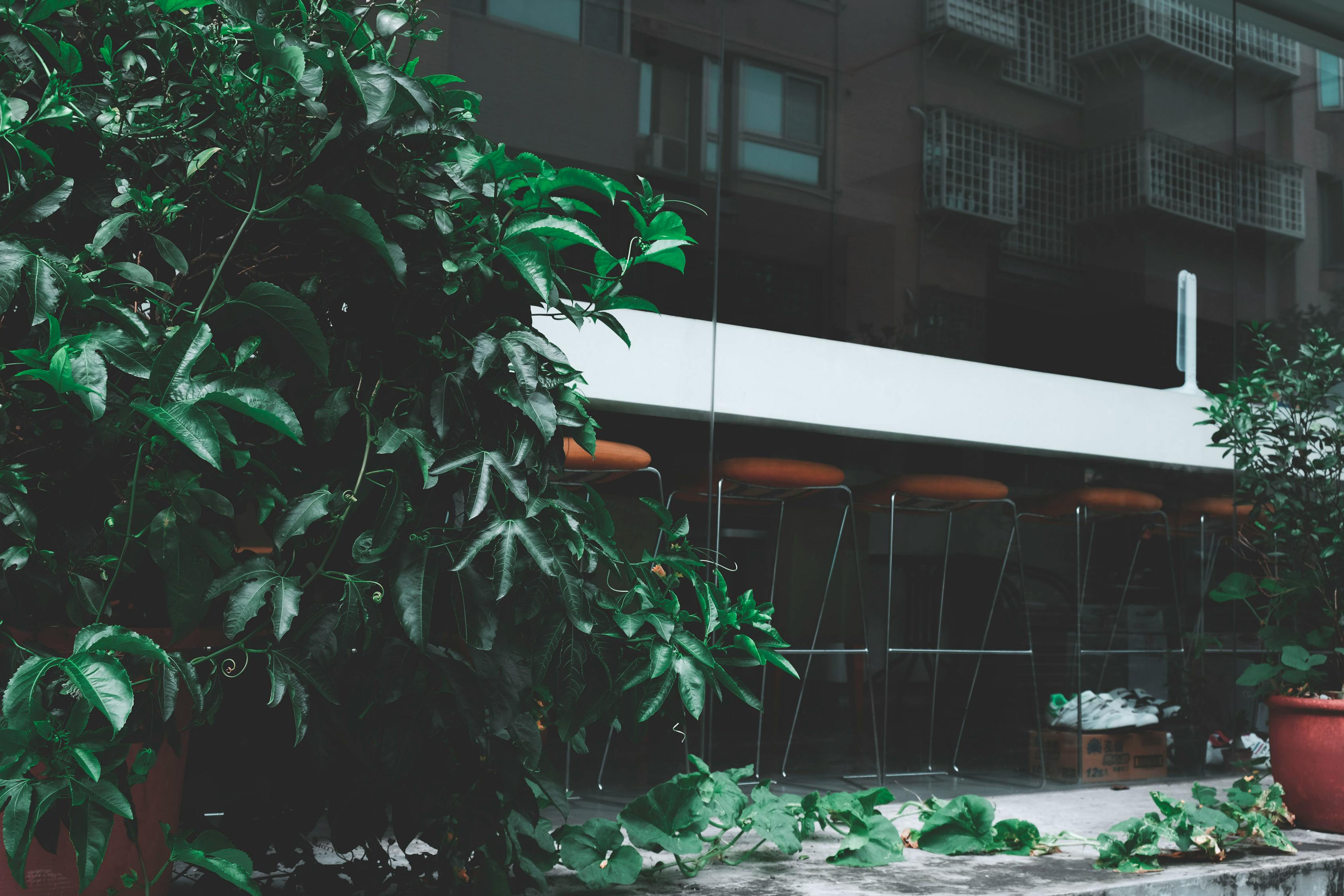 涿州拒馬河規(guī)劃重塑生態(tài)景觀，打造宜居城市新名片