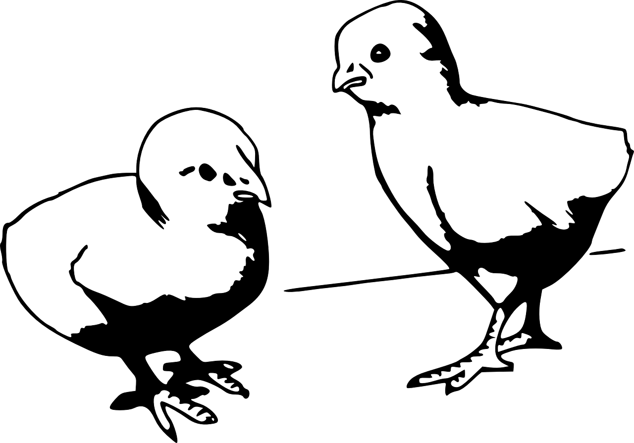 醬紫—喵 第2頁