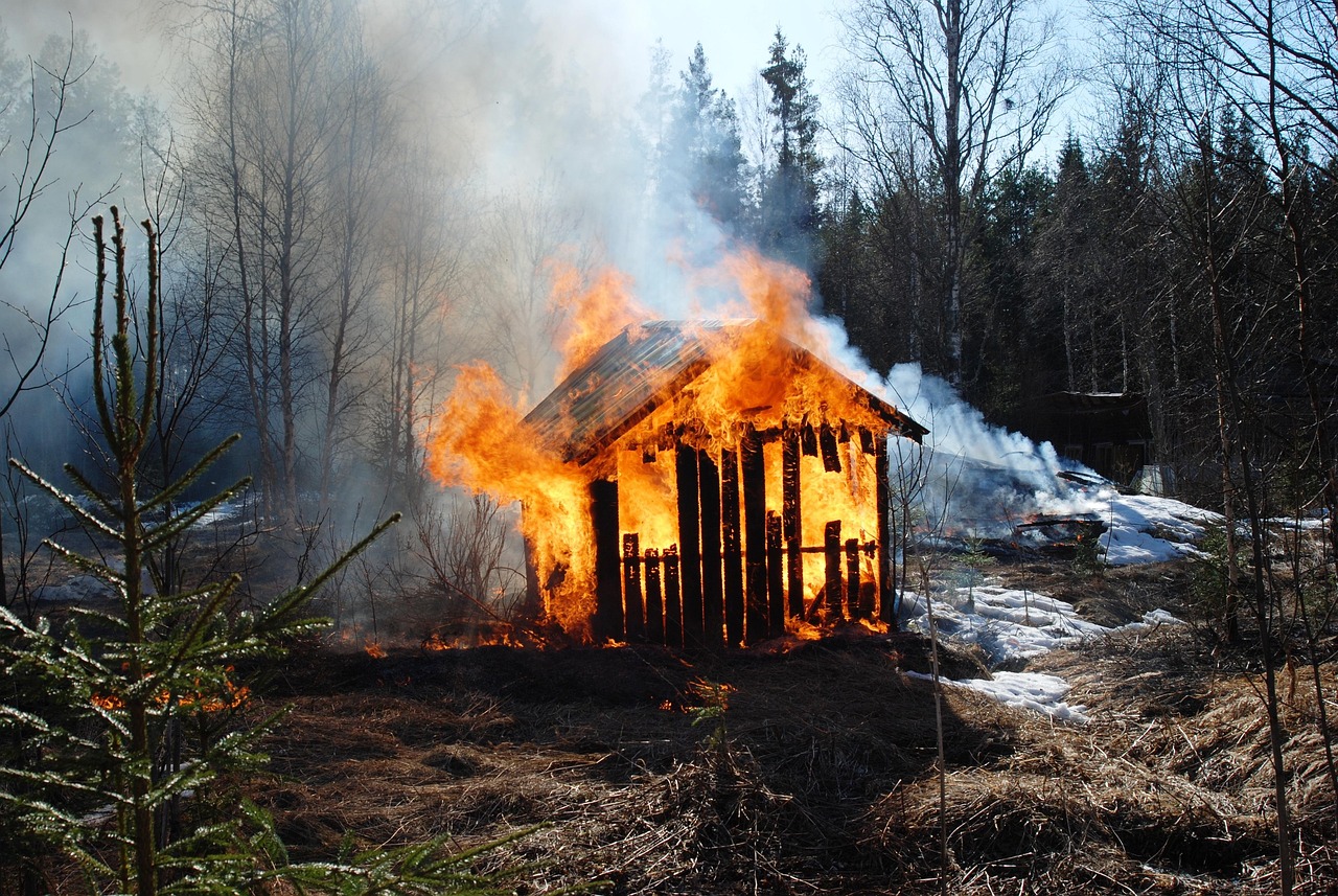 杭州保姆縱火事件最新進展深度解析與報道