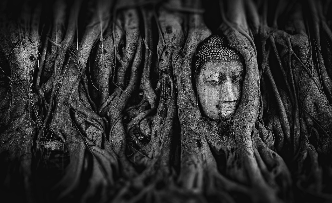 神明動漫，神秘世界奇幻探索之旅