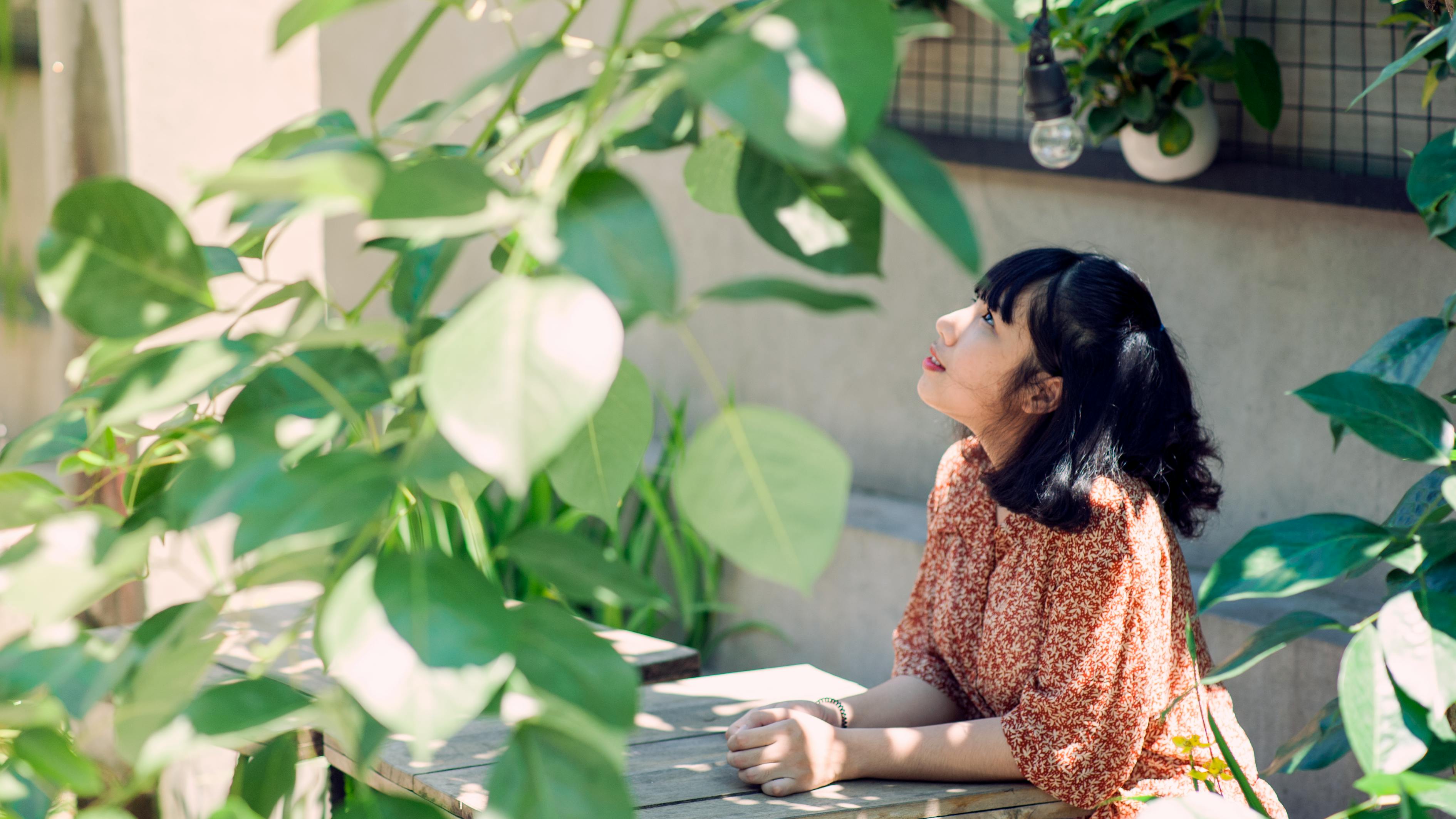 我就是這般女子，展現(xiàn)女性獨立與堅韌的電視劇之旅